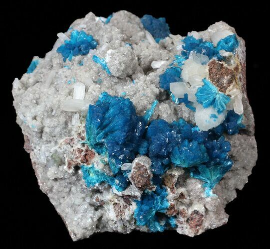 Exceptional Cavansite on Stilbite - India #62987